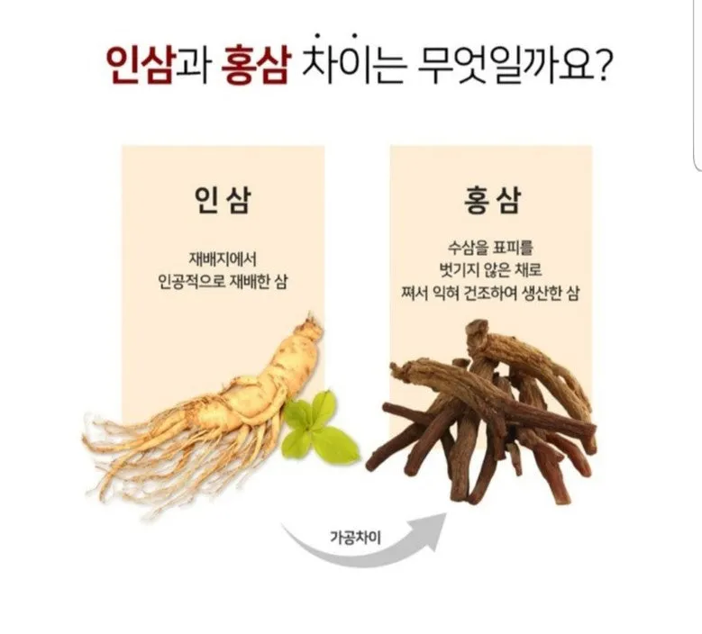 6 Year Korean Red Ginseng Roots 5 Pcs 75g Heaven Grade Panax Can Gifts