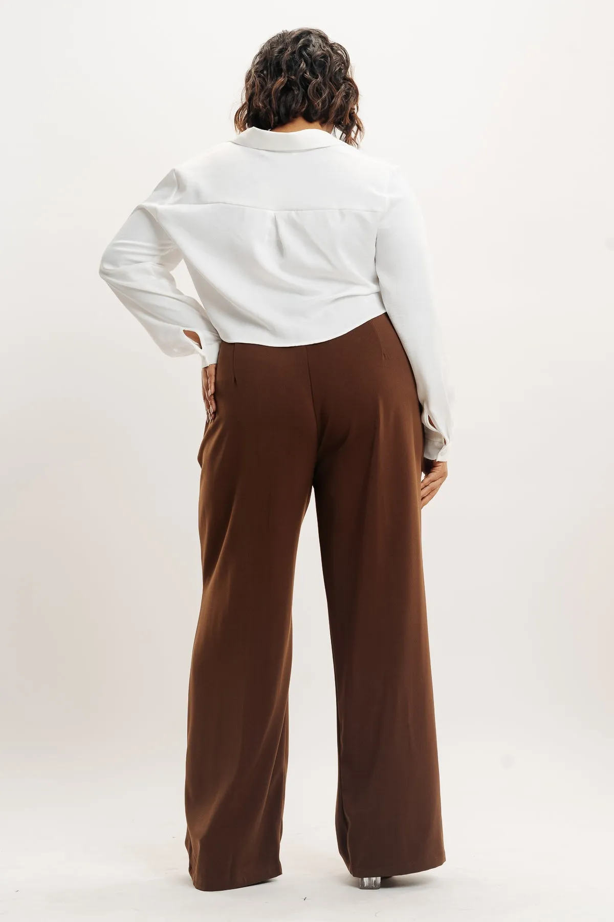 Brown Pleated Straight Fit Curve Korean Pants